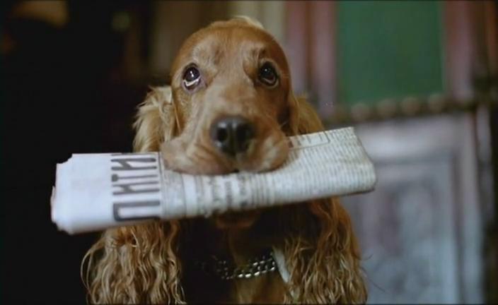 阿根廷探戈剧照的剧照