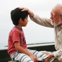 晃动的柚子叶剧照