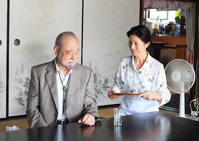 晃动的柚子叶剧照的剧照