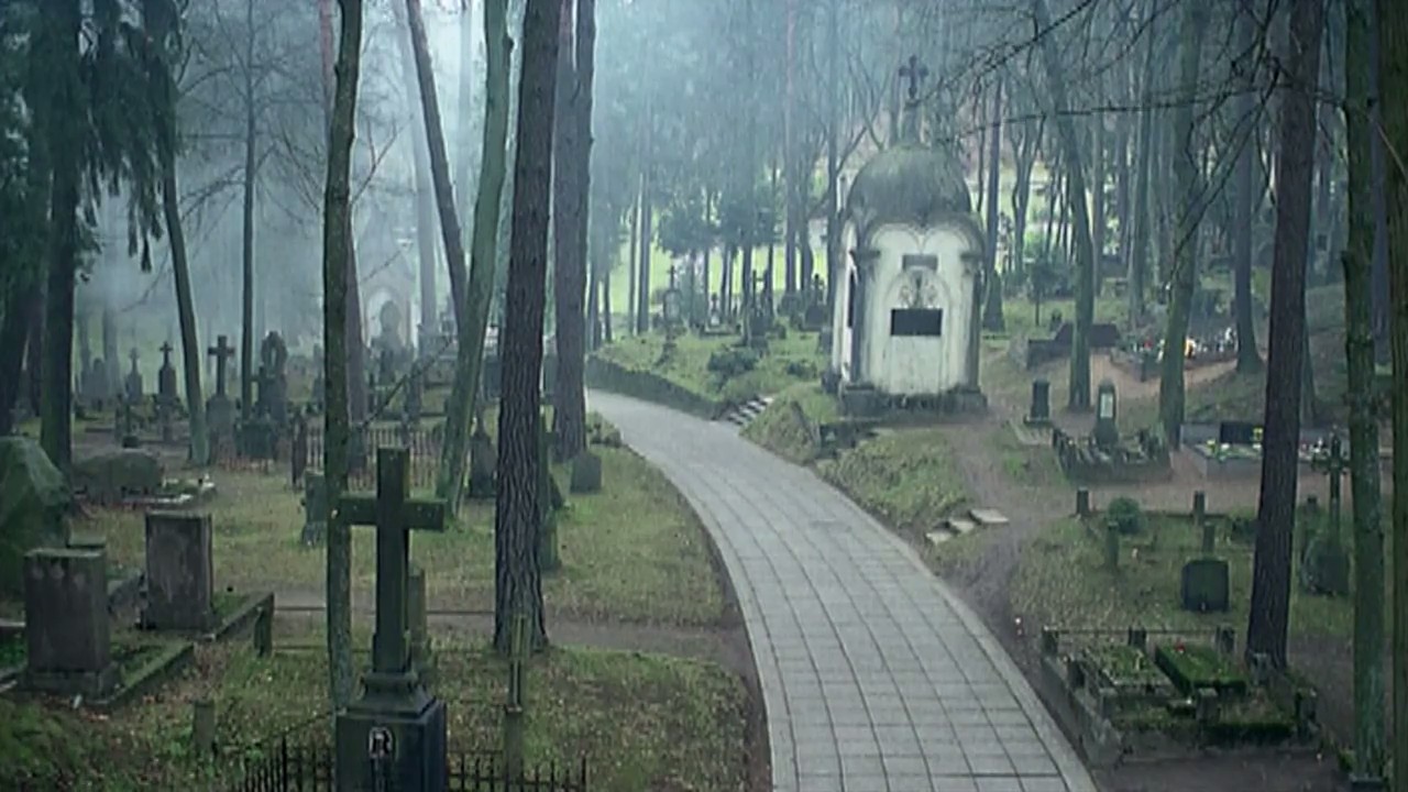 鼠疫屠城剧照的剧照