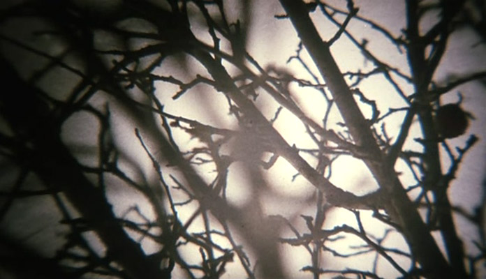 消失在地图上的名字剧照的剧照