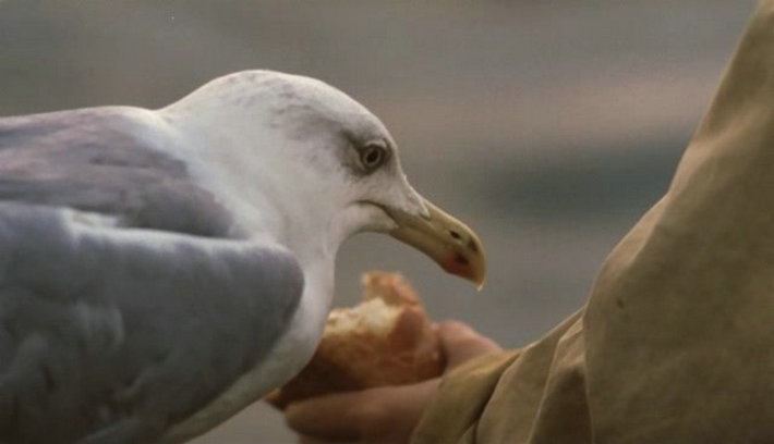 消失在地图上的名字剧照的剧照