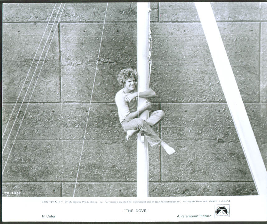 鸽子号剧照的剧照