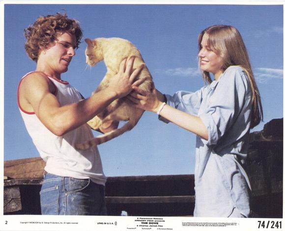 鸽子号剧照的剧照