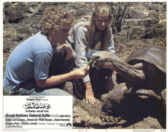 鸽子号剧照的剧照