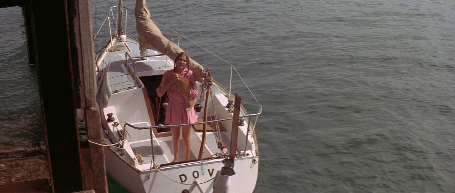 鸽子号剧照的剧照