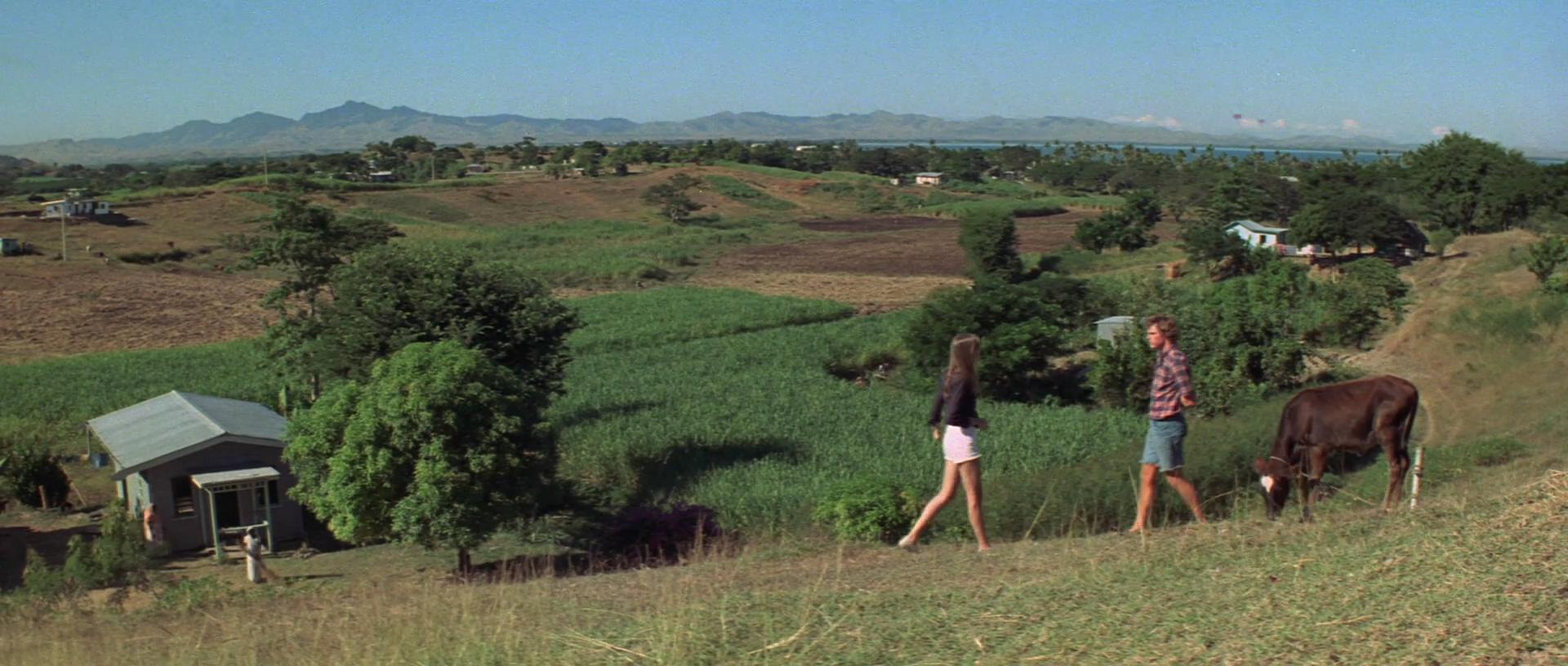 鸽子号剧照的剧照