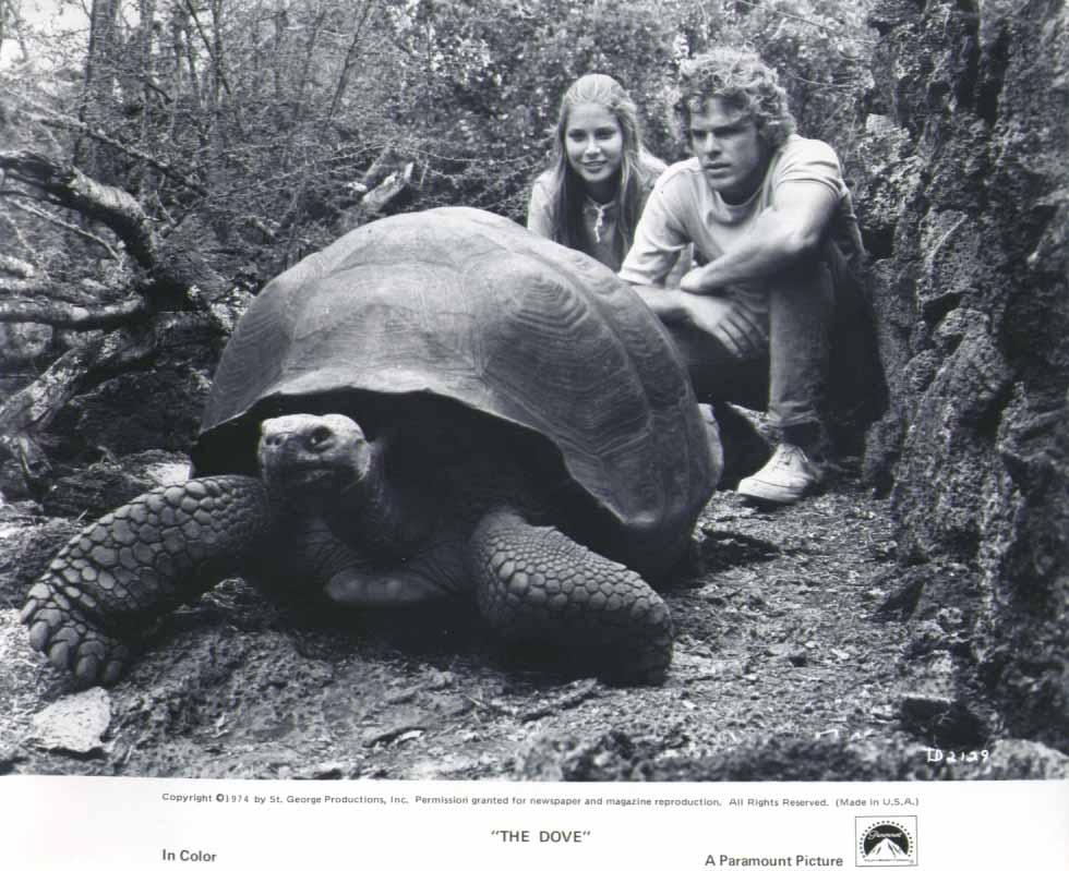 鸽子号剧照的剧照