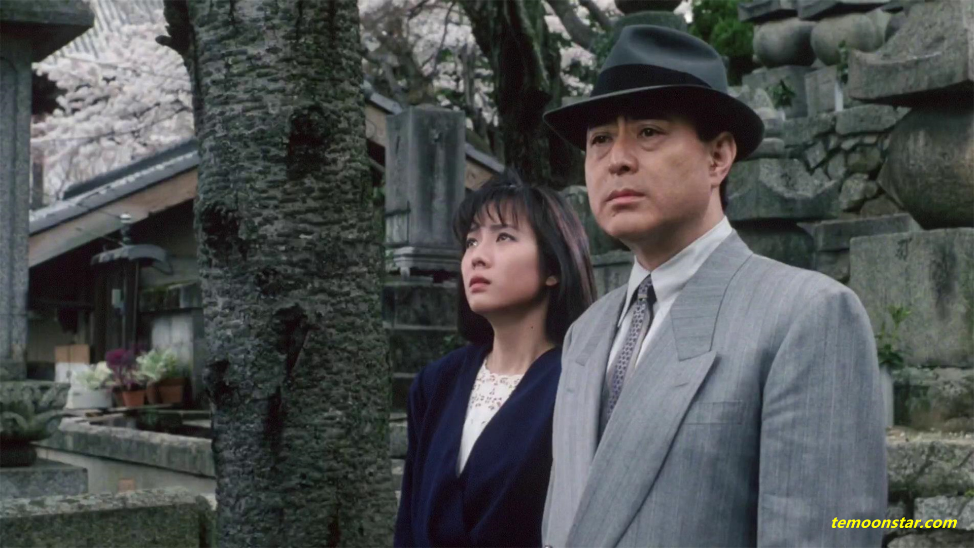 樱花树下剧照的剧照