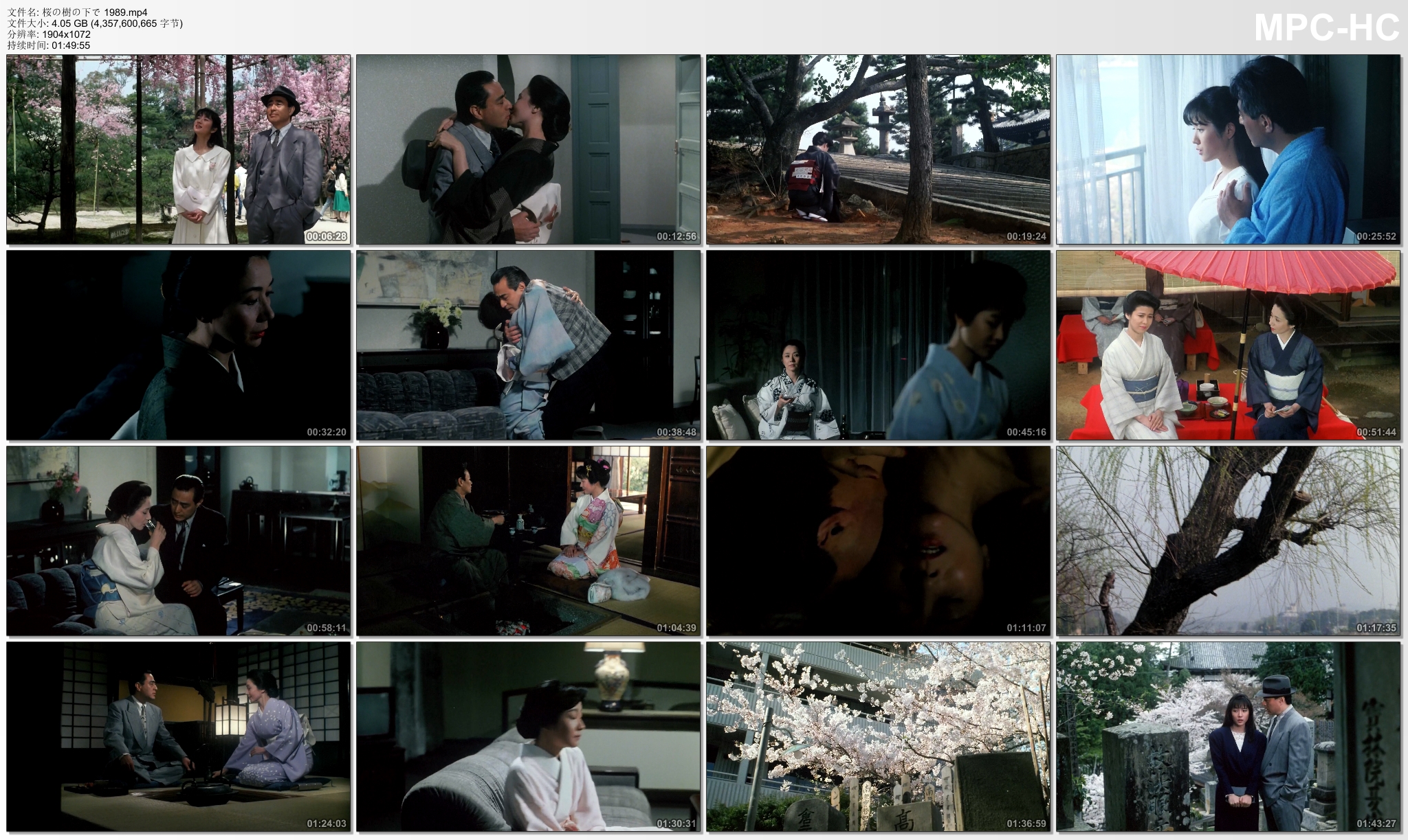 樱花树下剧照的剧照
