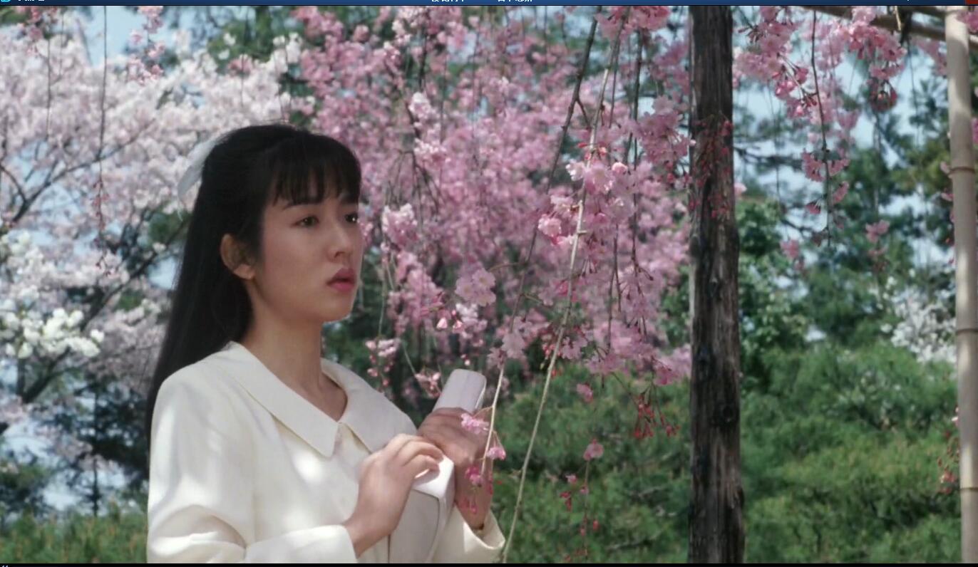 樱花树下剧照的剧照