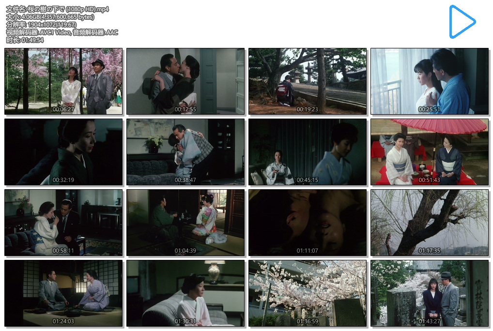 樱花树下剧照的剧照