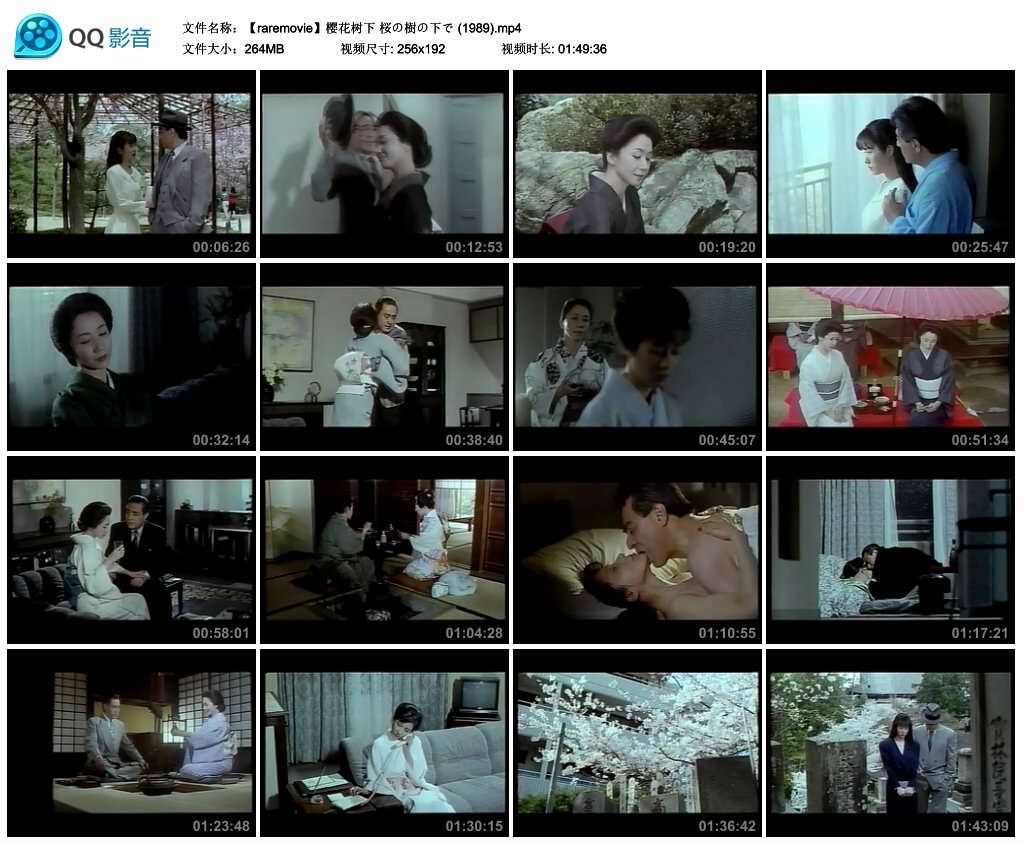 樱花树下剧照的剧照