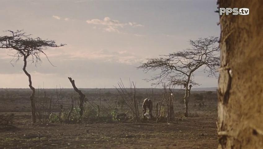 一年级生剧照的剧照