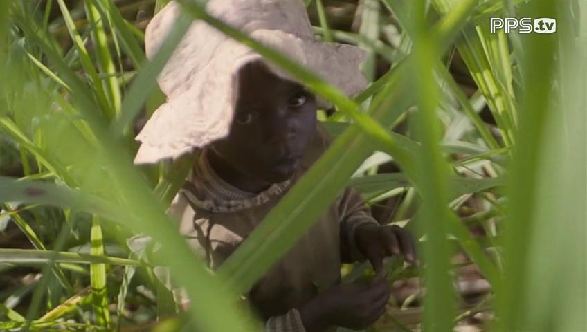 一年级生剧照的剧照