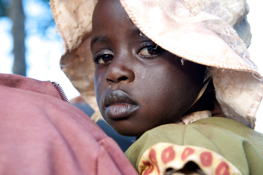 一年级生剧照的剧照