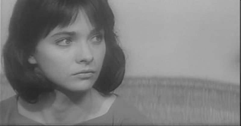 尼绒月亮剧照的剧照