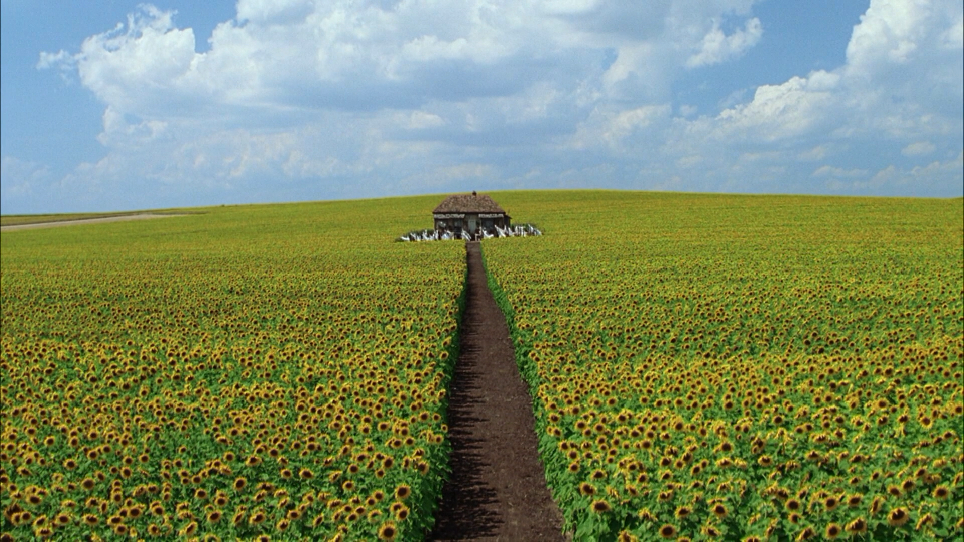 真相大白剧照的剧照