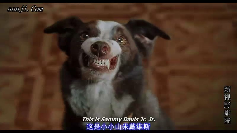 真相大白剧照的剧照