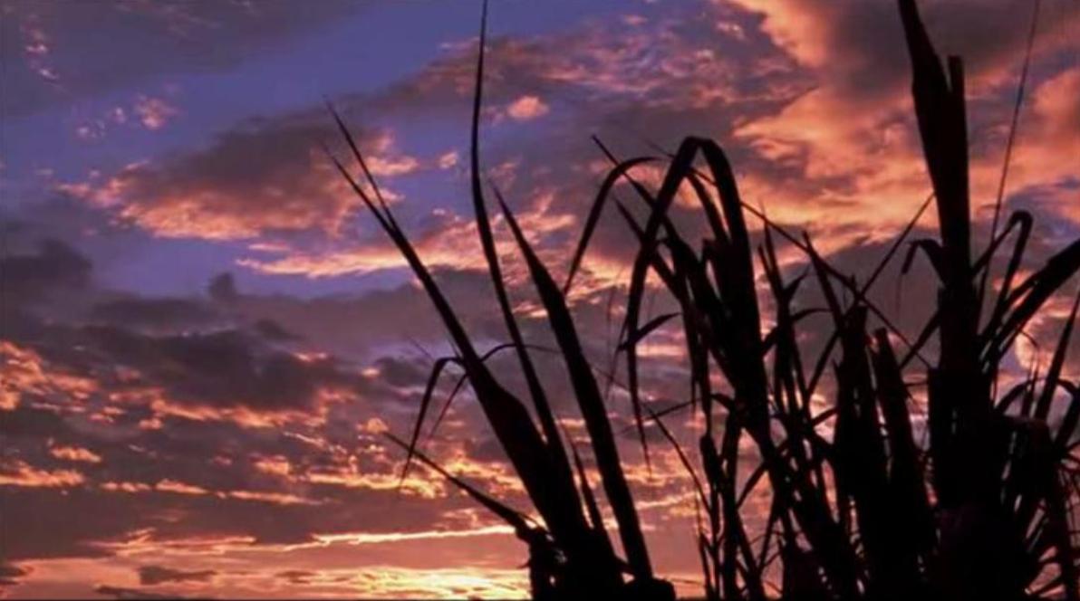 大海作证剧照的剧照