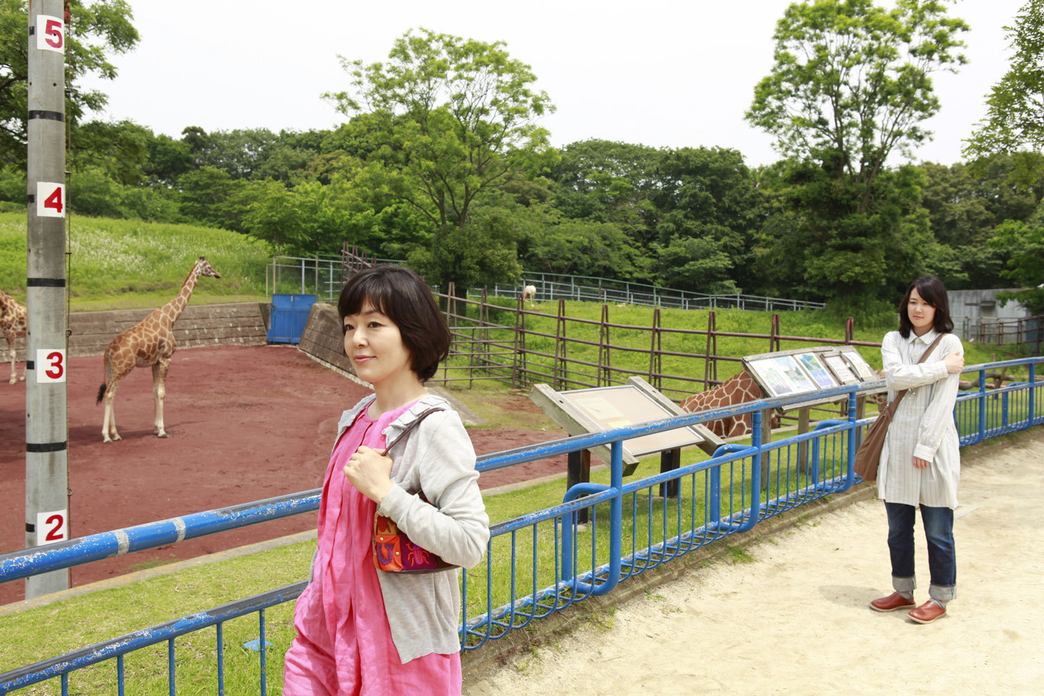 东京绿洲剧照的剧照