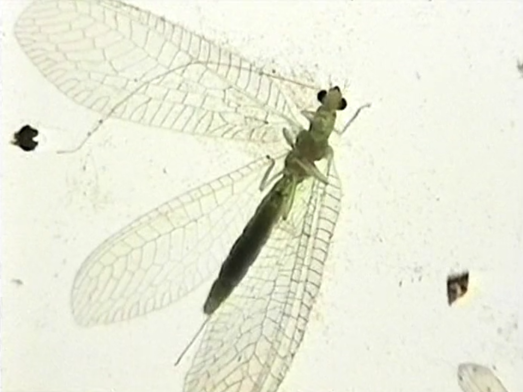 坏电影剧照的剧照