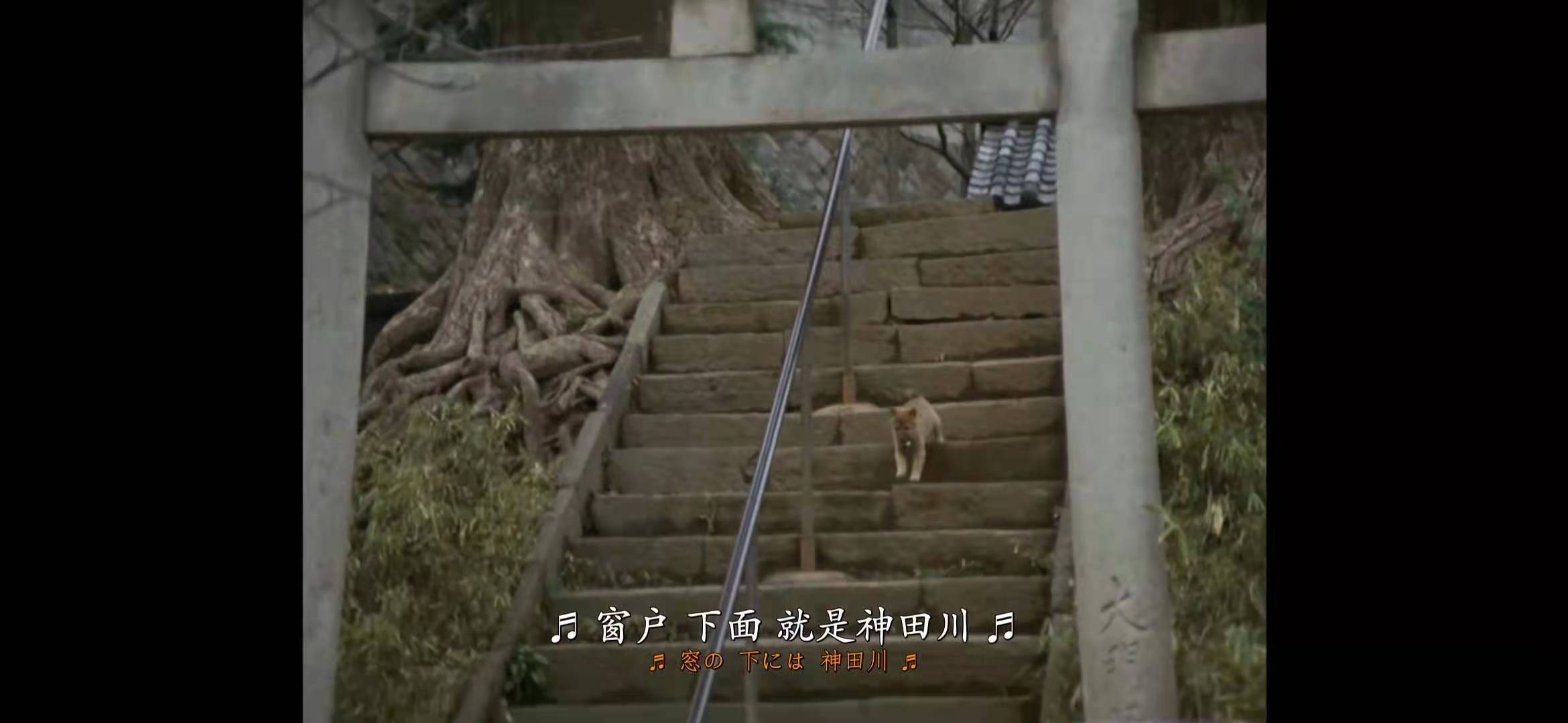 神田川剧照的剧照