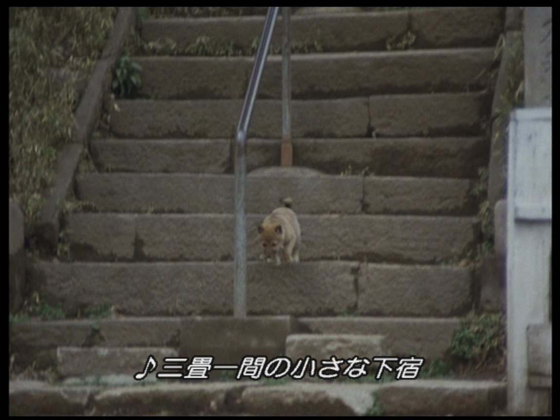 神田川剧照的剧照