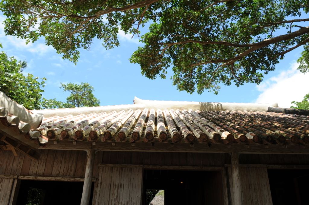 白旗少女剧照的剧照