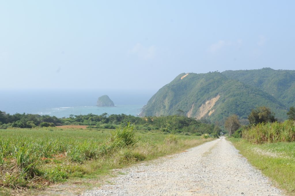 白旗少女剧照的剧照