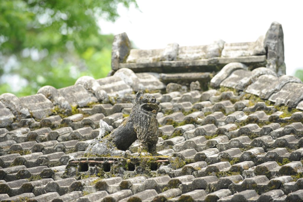 白旗少女剧照的剧照