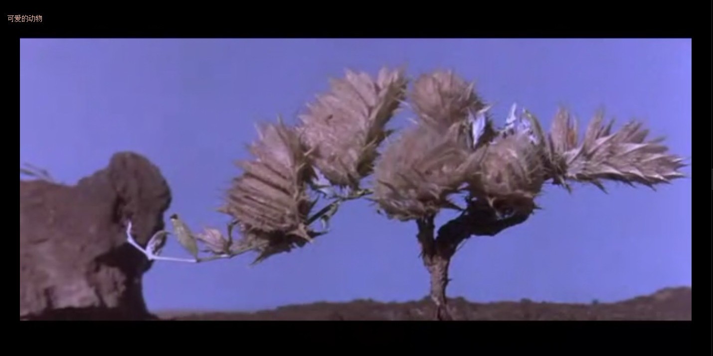 可爱的动物剧照的剧照