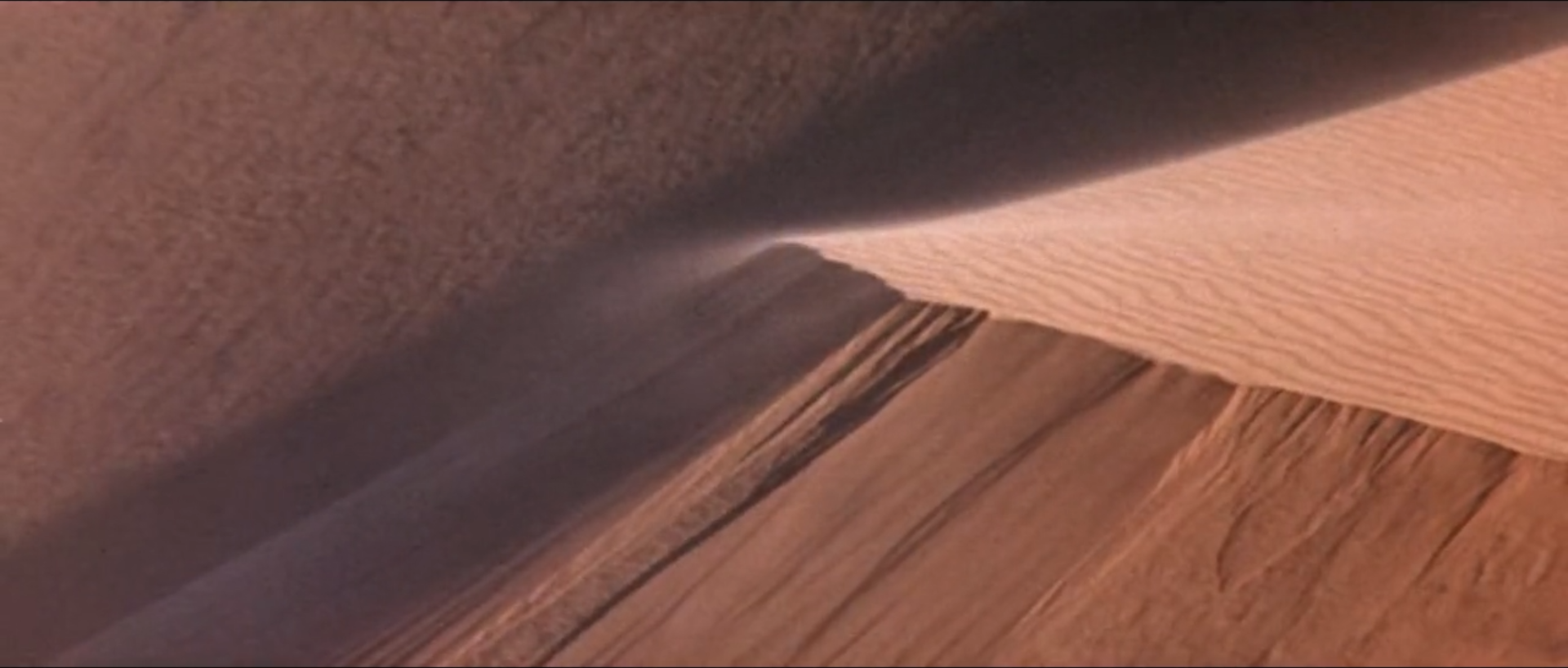 可爱的动物剧照的剧照