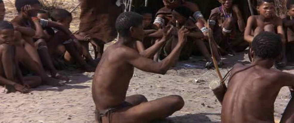 可爱的动物剧照的剧照