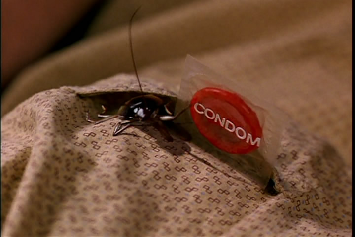 蟑螂总动员剧照的剧照