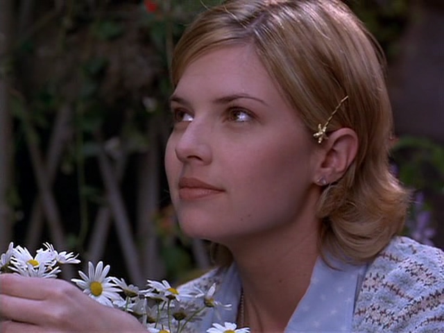 蟑螂总动员剧照的剧照