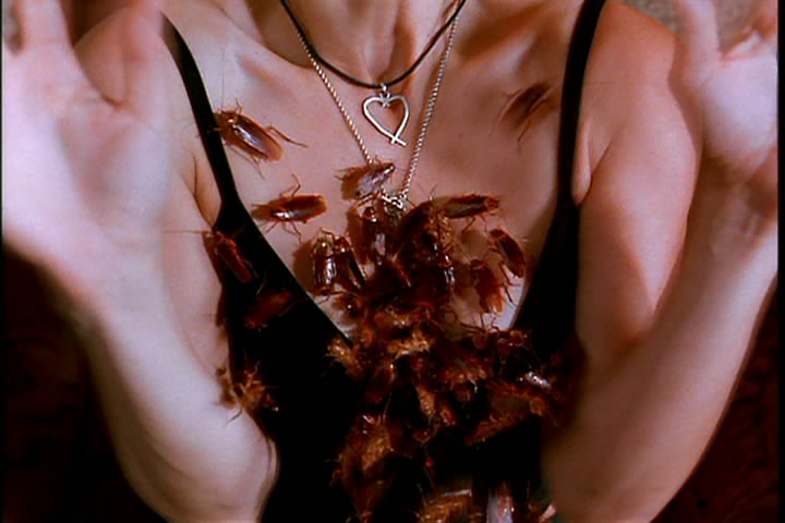 蟑螂总动员剧照的剧照