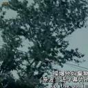 光头党的一生剧照