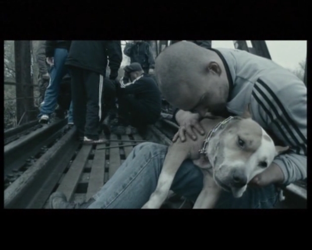 光头党的一生剧照的剧照