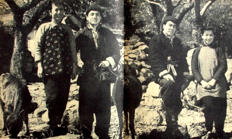 尸变剧照的剧照