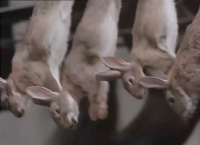 临终的侦探剧照的剧照