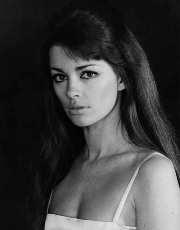 基堡八勇士剧照的剧照