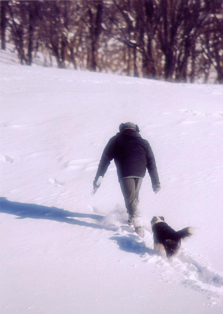 繁星剧照的剧照