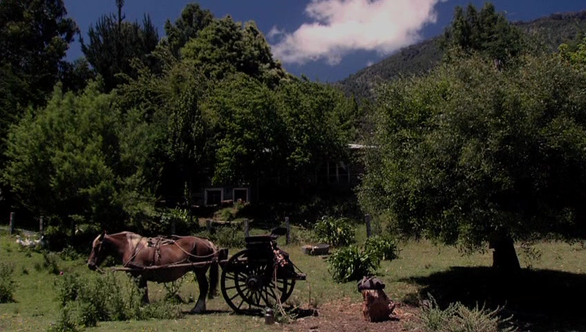 风月之家剧照的剧照