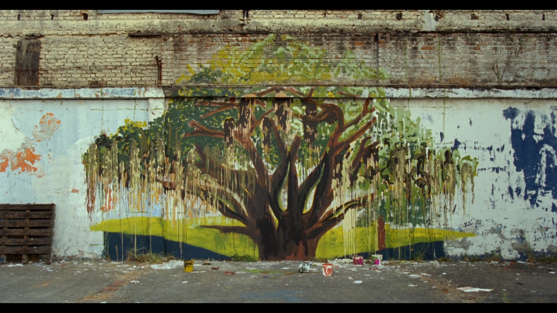 真菌剧照的剧照