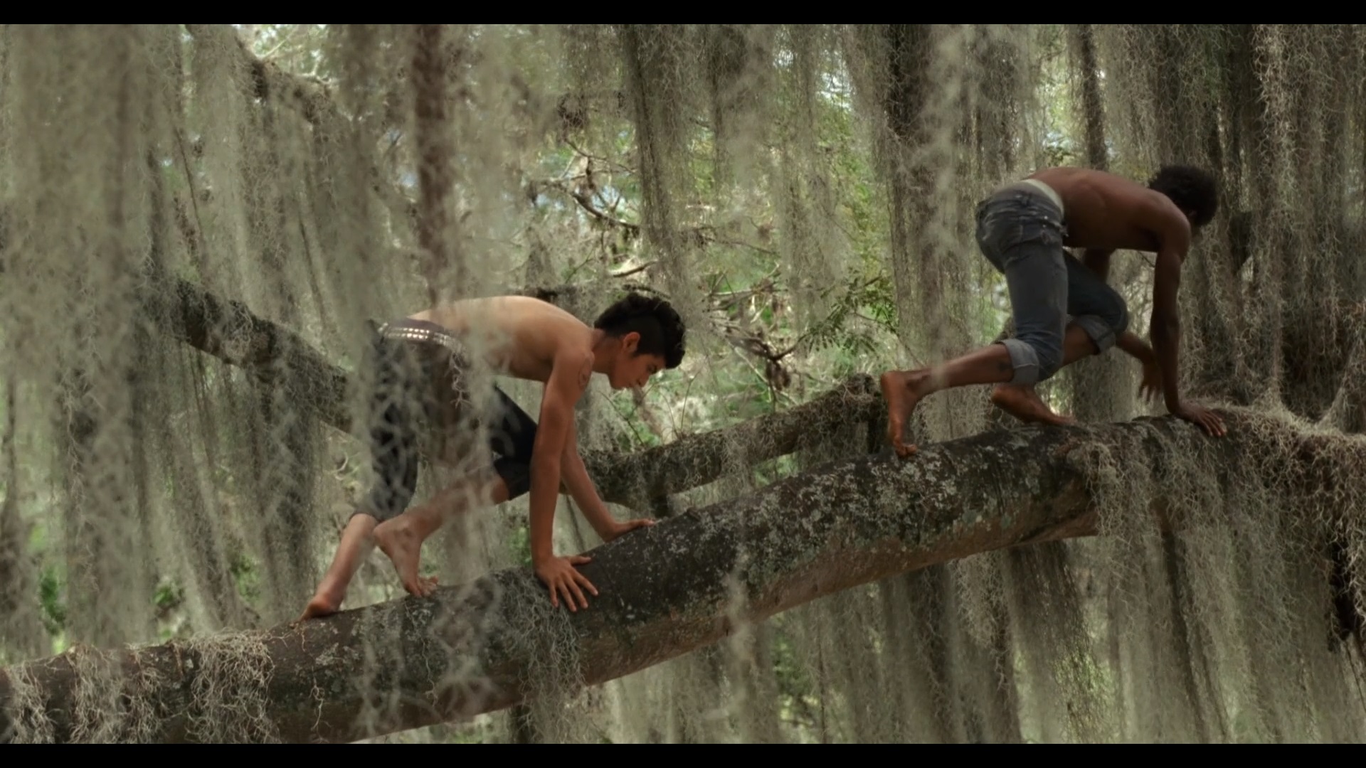 真菌剧照的剧照