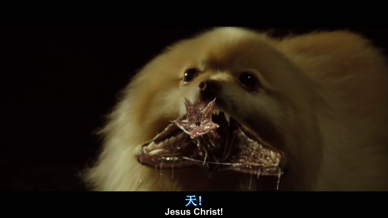 刀锋战士3剧照的剧照