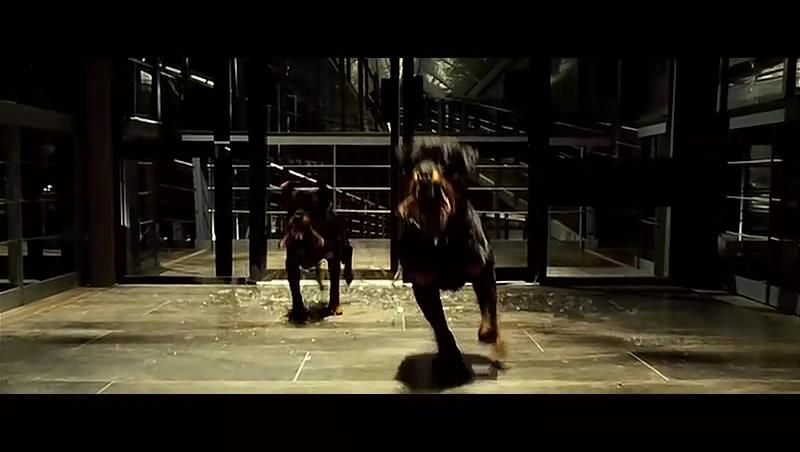 刀锋战士3剧照的剧照