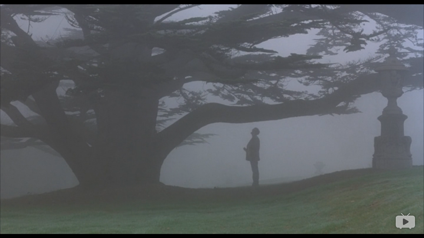 那一年我们有约剧照的剧照