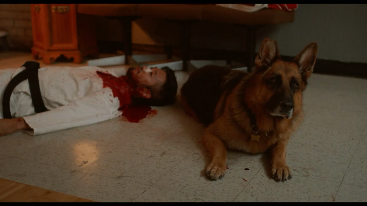 自卫艺术剧照的剧照